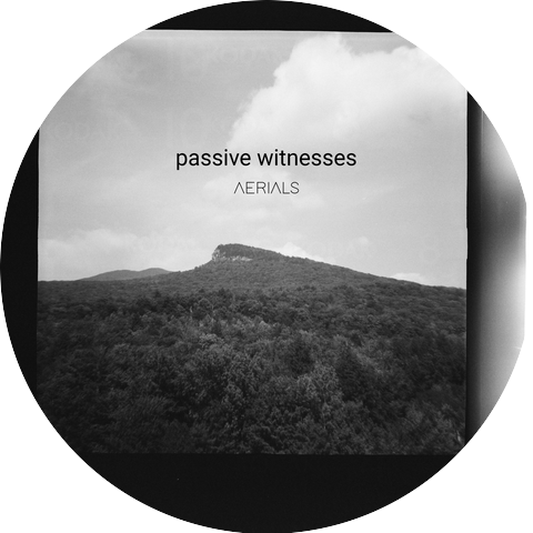 Passive Witnesses