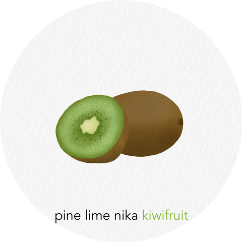 Pine Lime Nika