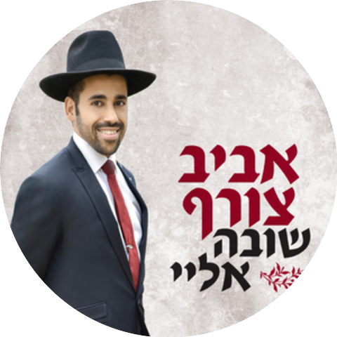 אביב צורף