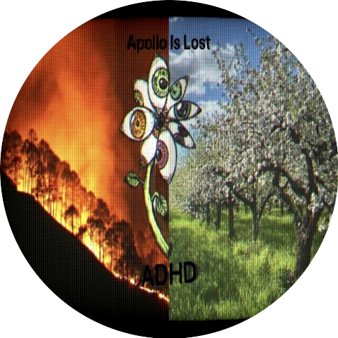 Apollo Is Lost