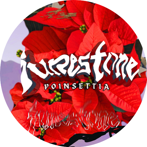 Junestone