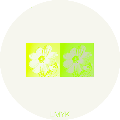 LMYK