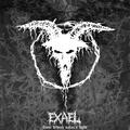 exael