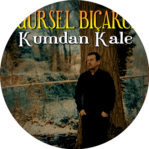 Gürsel Bıçakcı