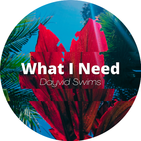 Dayvid Swims