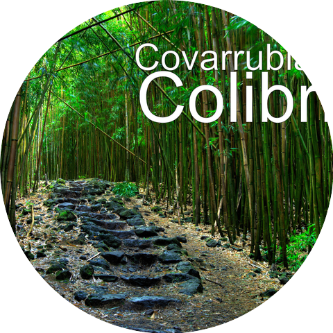 Jose Covarrubias