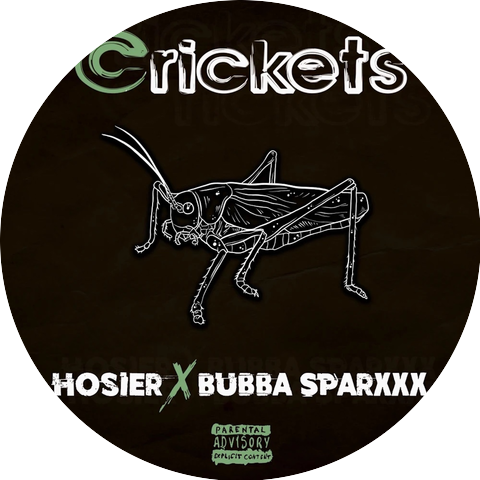 Hosier & Bubba Sparxxx