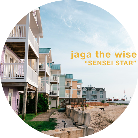 Jaga the Wise