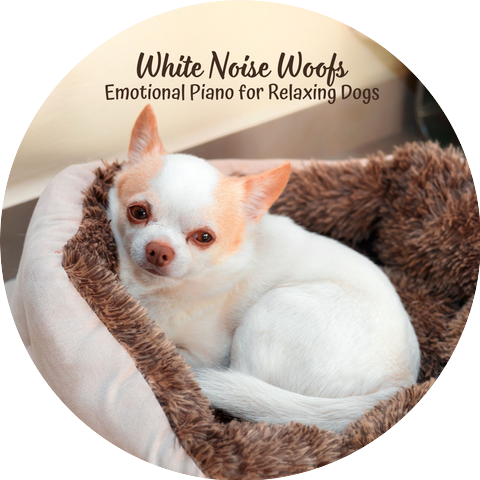 White Noise Healing Method