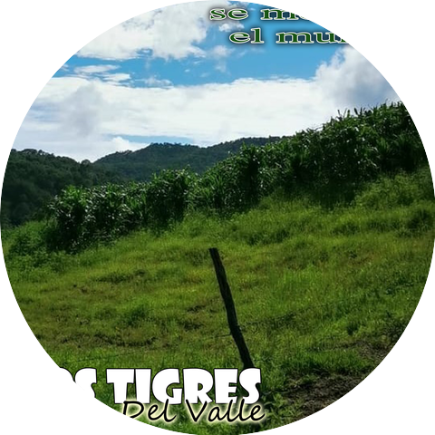 Los Tigres Del Valle
