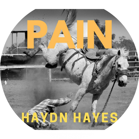 haydn hayes
