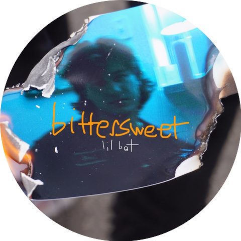 Lil Bot