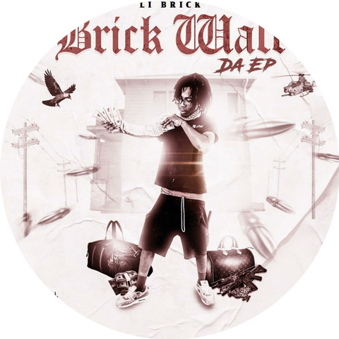 Li Brick