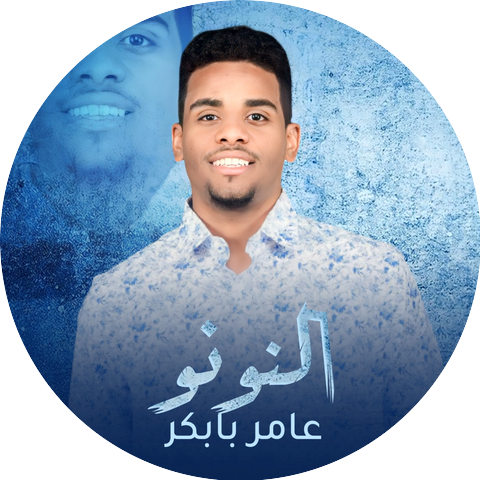 عامر بابكر