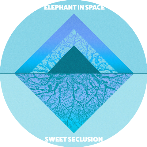 Elephant in Space
