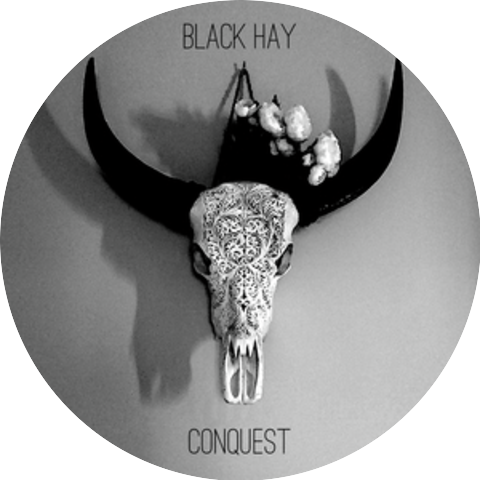Black Hay