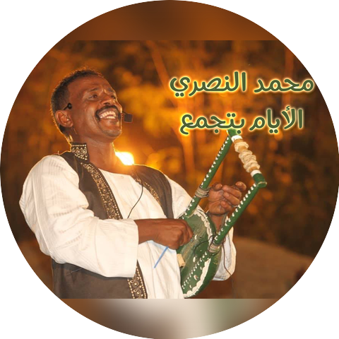 محمد النصري