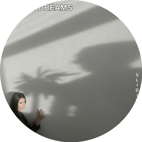 Waking Dreams