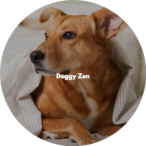 Dog Sleeping Soundtracks Deluxe