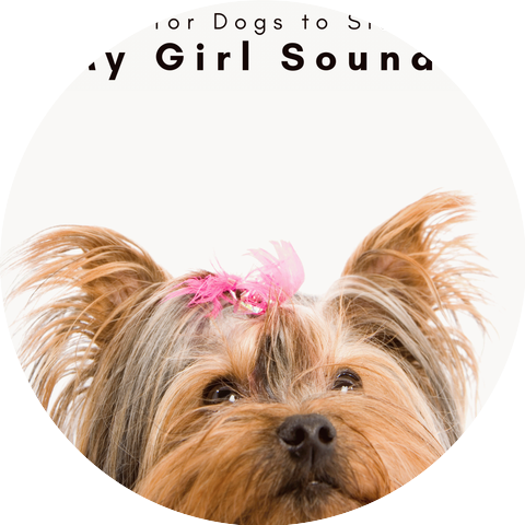 Songs for Dogs to Sleep To