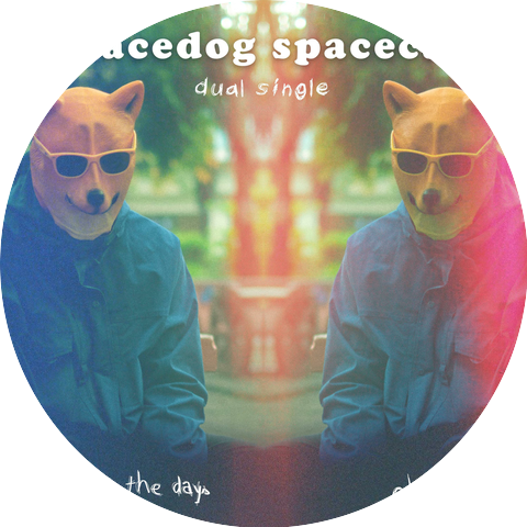 spacedog spacecat