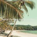 Tropical Christmas Background Music