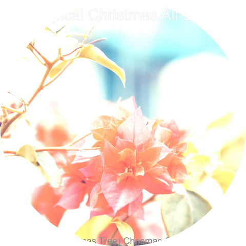 Tropical Christmas All-stars