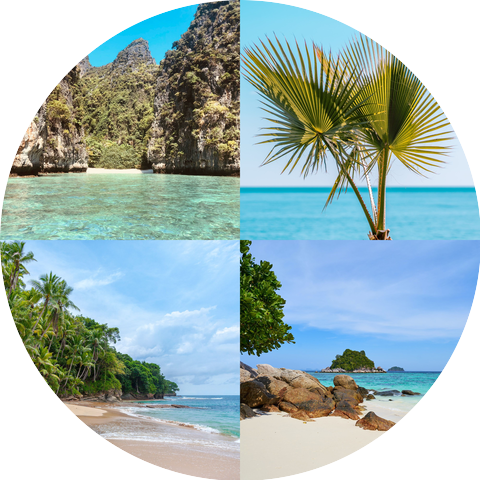 Chic Tropical Christmas