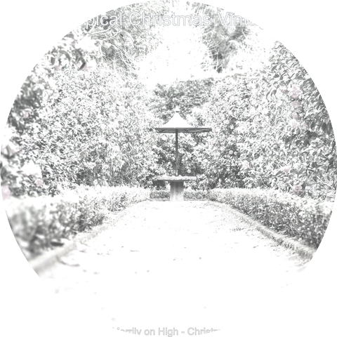 Tropical Christmas Vintage