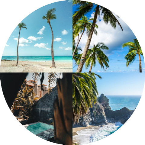 Tropical Christmas Project