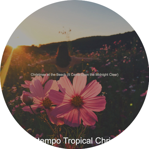 Downtempo Tropical Christmas