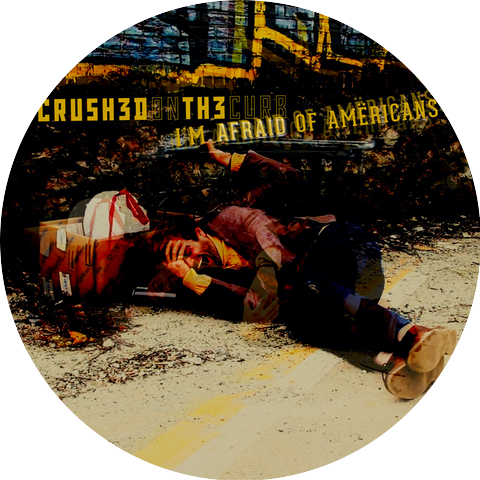 Crushed on the Curb