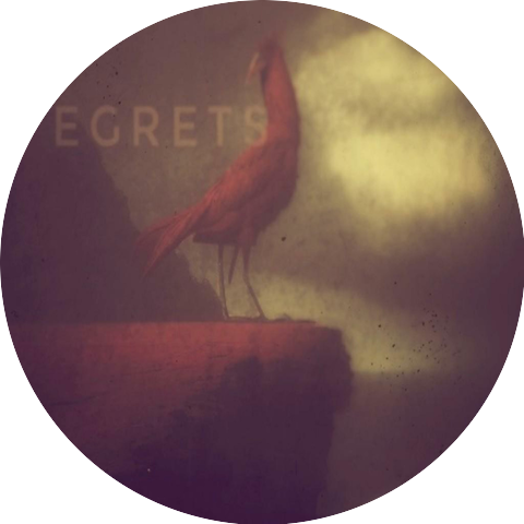 Egrets