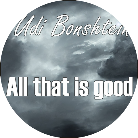 Udi Bonshtein