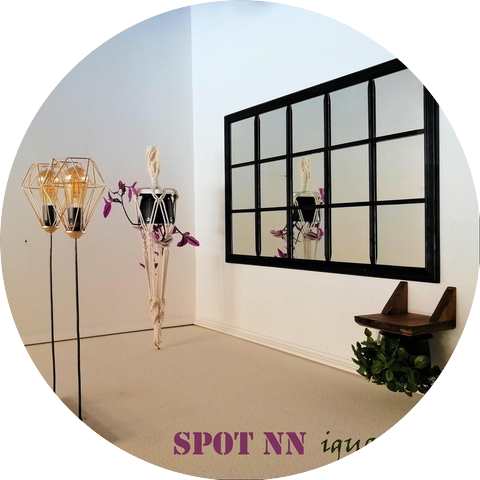 Spot Nn