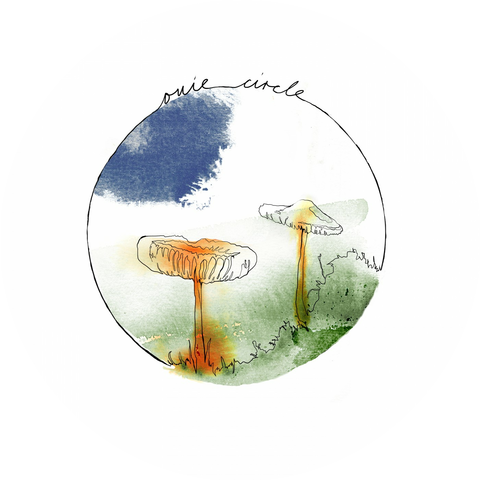 Geju & Acid Pauli