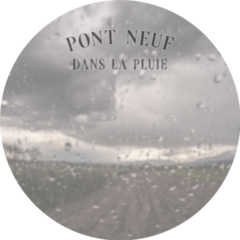 Pont Neuf