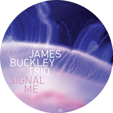 James Buckley Trio