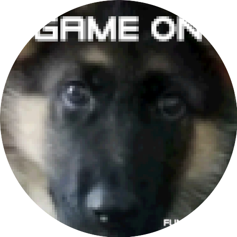 Funk Puppy