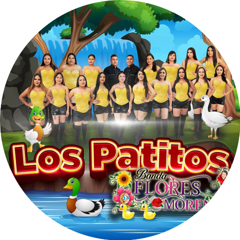 Banda Flores Morenas