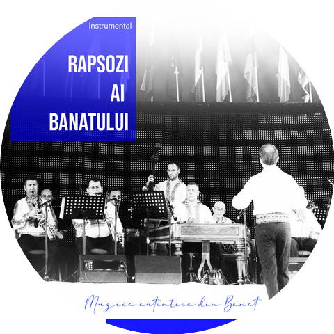 Adi Baniciu