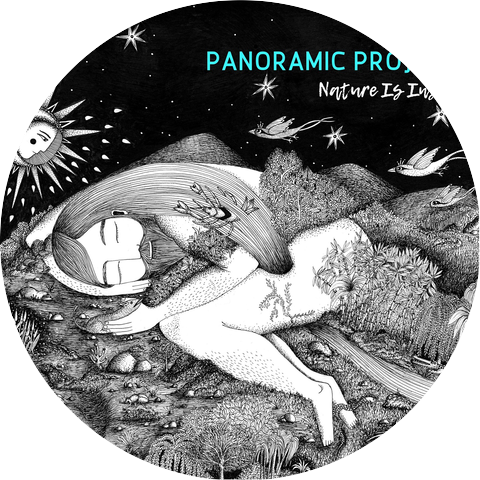 Panoramic Project
