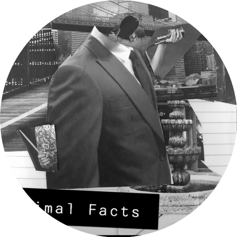 Animal Facts
