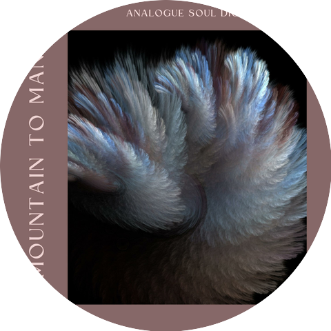 Analogue Soul Digital Word