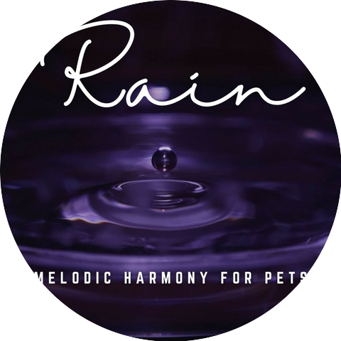 Relax Rain