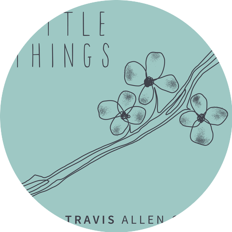 Travis Allen Cottle