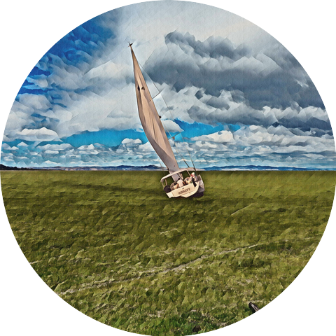 Bec Taylor and the Lyrebirds