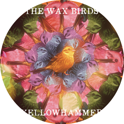 The Wax Birds