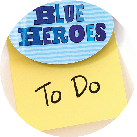 Blue Heroes