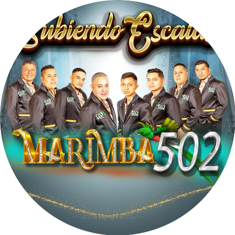 marimba 502